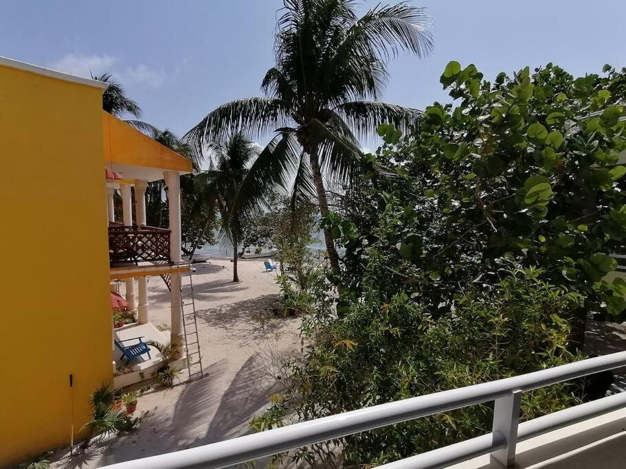 Marysol Great Views Beachfront Next To Nomads D3 女人岛 外观 照片