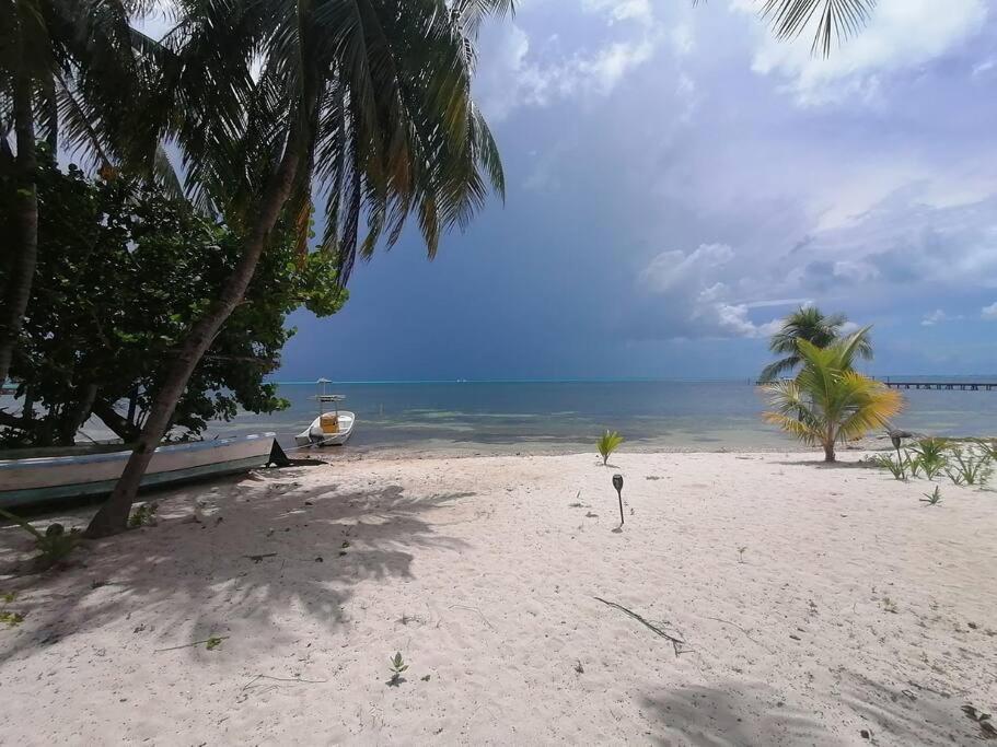 Marysol Great Views Beachfront Next To Nomads D3 女人岛 外观 照片