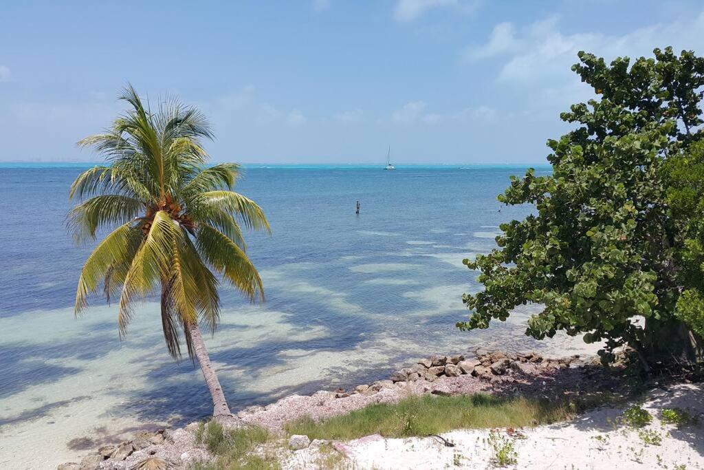 Marysol Great Views Beachfront Next To Nomads D3 女人岛 外观 照片